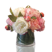 Blushing Peonies